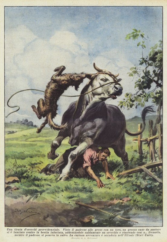 En försynens tirade dorecchi av Achille Beltrame