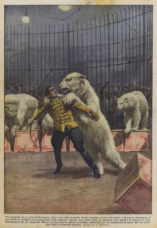 En tragedi i en cirkus i Bryssel av Achille Beltrame