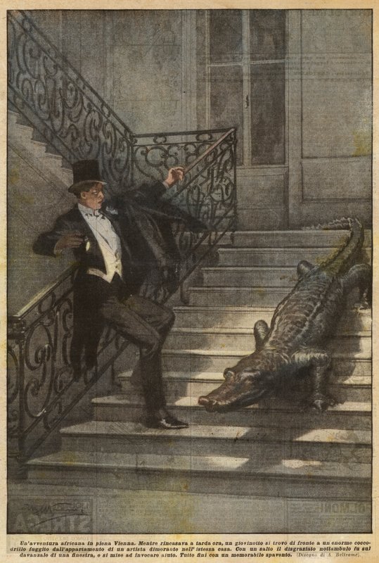 Ett afrikanskt äventyr mitt i Wien av Achille Beltrame