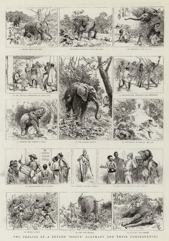 The Frolics of a Ceylon Rogue Elephant och deras konsekvenser av Adrien Emmanuel Marie
