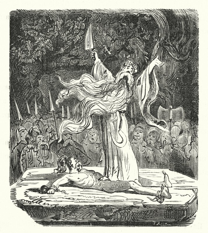 Druid som utför ett människooffer (gravyr) av Albert Robida