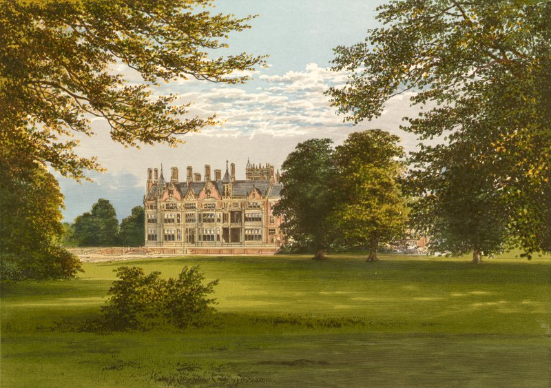 Bearwood av Alexander Francis Lydon