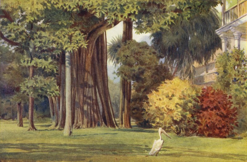 Queens House, Colombo av Alexander Henry Hallam Murray