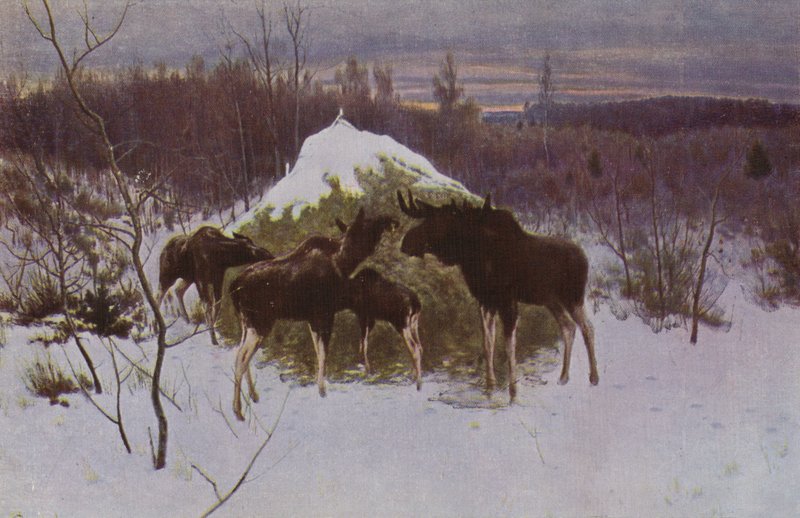 Besætning af Elk, 1889 swed av Alexei Steipanovitch Stepanov