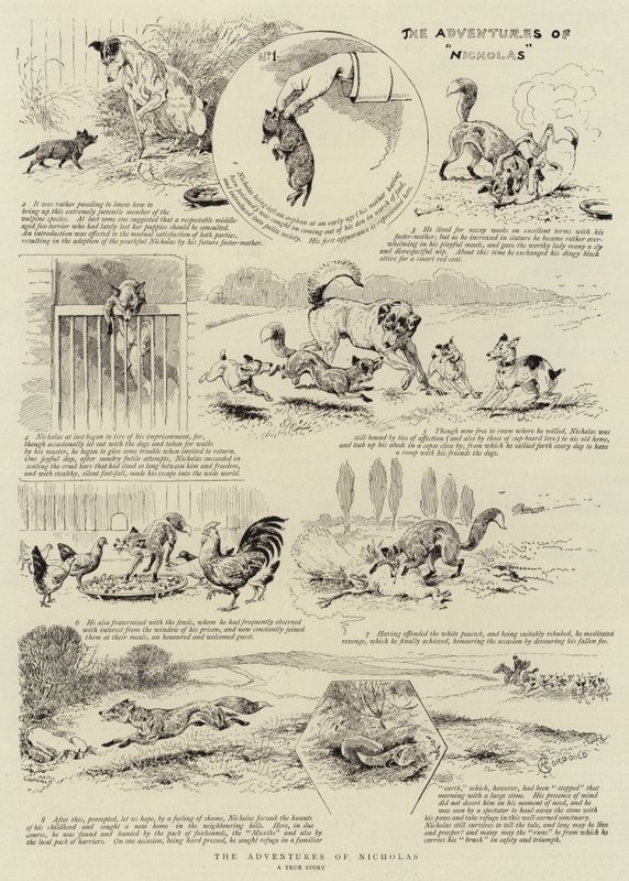 Nicholas äventyr av Alfred Chantrey Corbould