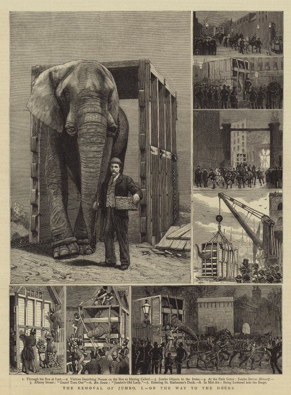 Avlägsnandet av Jumbo, I, på väg till hamnen av Alfred Chantrey Corbould