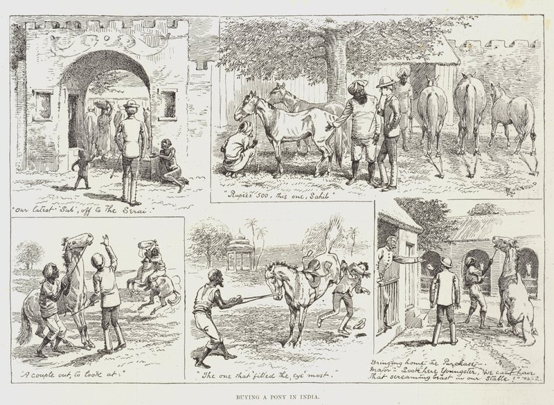Köpa en ponny i Indien av Alfred Courbould