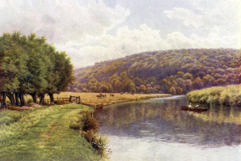 Quarry Woods, Marlow av Alfred Robert Quinton