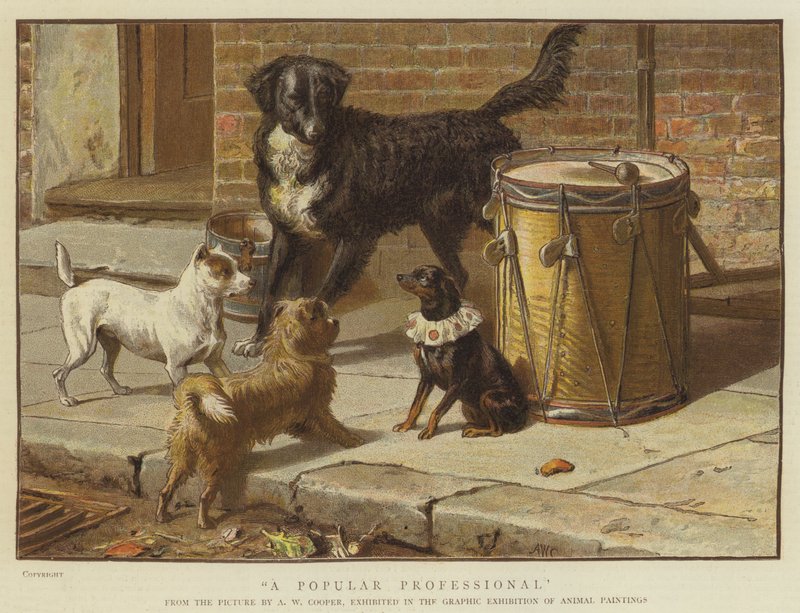 Ett populärt proffs (chromolitho) av Alfred W. Cooper