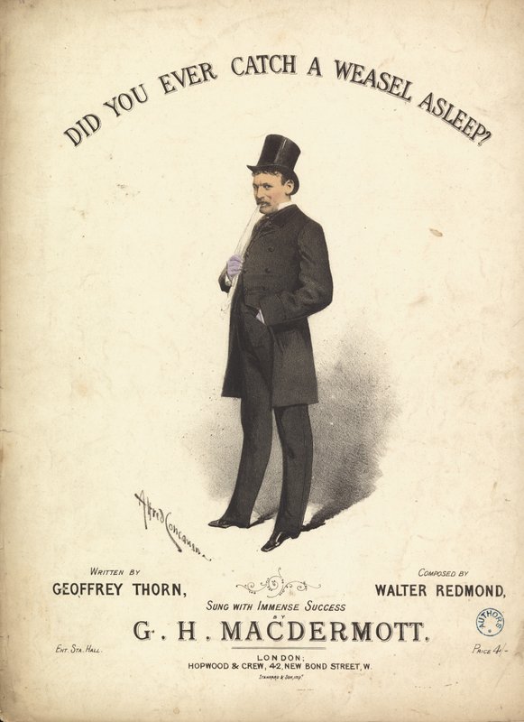 Har du någonsin fångat en vessla som sov av Alfred Concanen