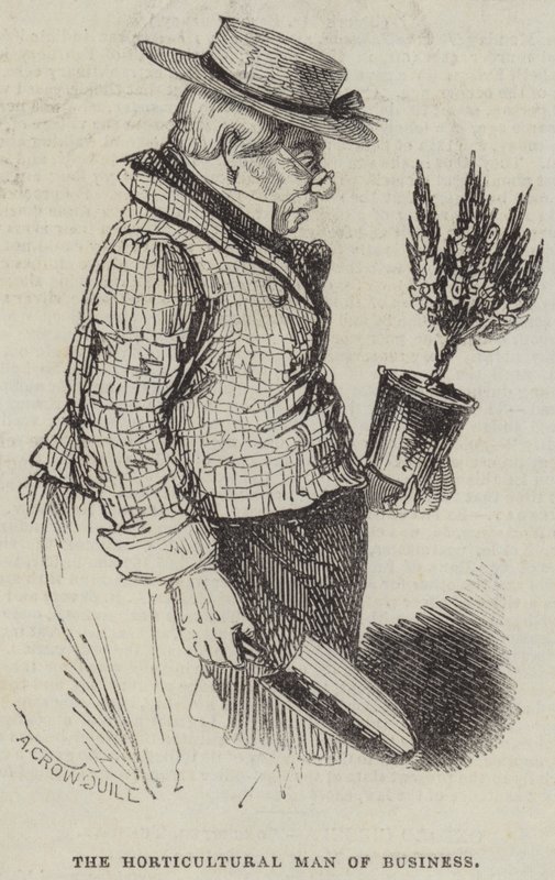 Näringslivets trädgårdsman av Alfred Crowquill