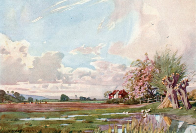 Isle of Athelney (färg litho) av Alfred Heaton Cooper