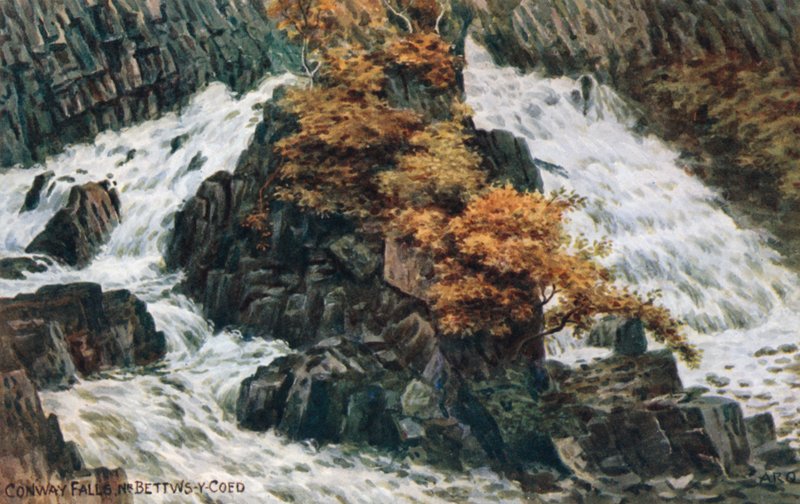 Conway Falls, Nr Bettws-y-Coed av Alfred Robert Quinton
