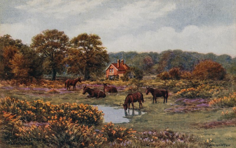 New Forest Ponies, Lyndhurst av Alfred Robert Quinton