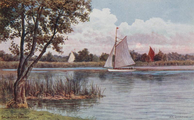 Salhouse Broad av Alfred Robert Quinton