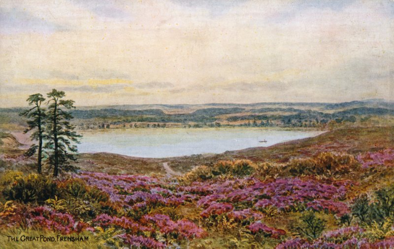 Den stora dammen, Frensham av Alfred Robert Quinton