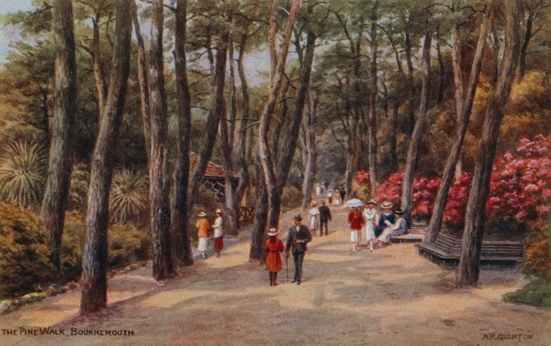 The Pine Walk, Bournemouth av Alfred Robert Quinton