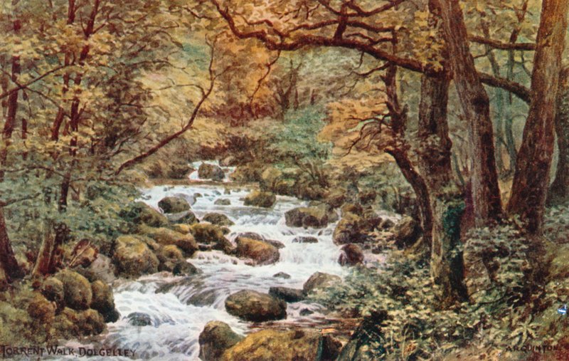 Torrent Walk, Dolgelley av Alfred Robert Quinton