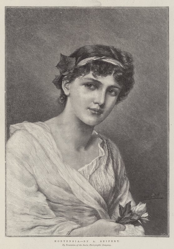 Hortensia av Alfred Seifert