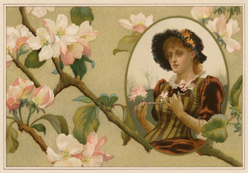 Den insiktsfulla äppelgrenen (chromolitho) av Alice Havers