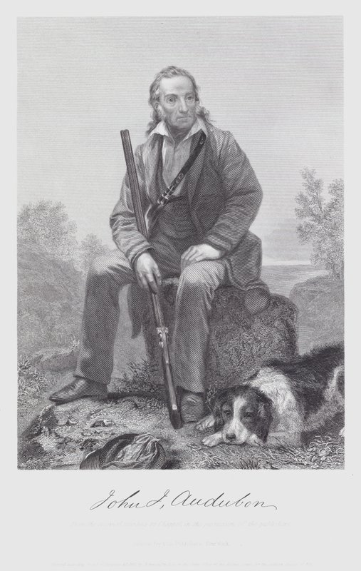John James Audubon (gravyr) av Alonzo (after) Chappel