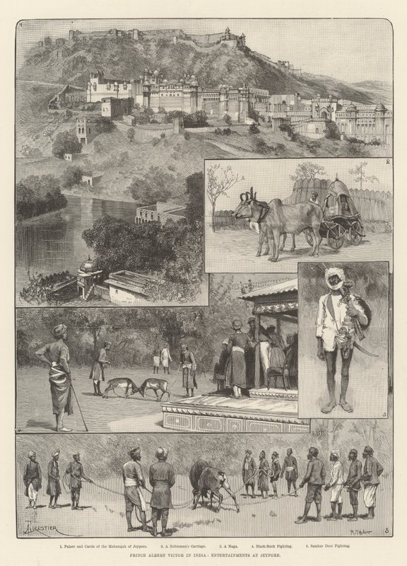 Prins Albert Victor i Indien, underhållning på Jeypore av Amedee Forestier