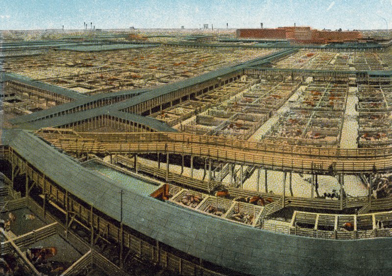 Union Stock Yards (färgad bild) av American Photographer