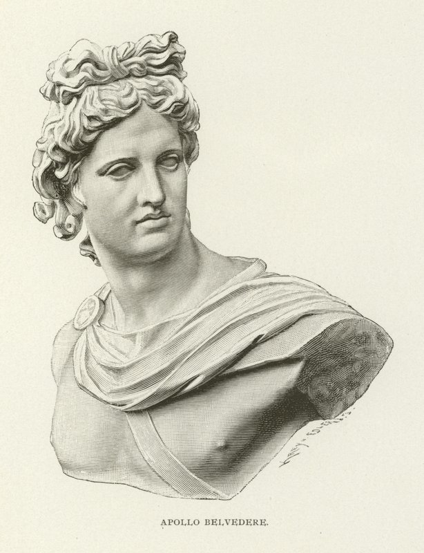 Apollo Belvedere av American School