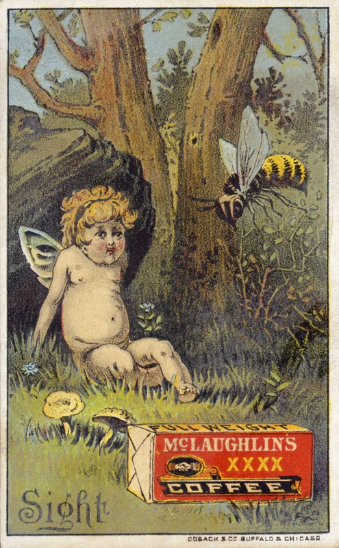 Bee attackerar putto av American School
