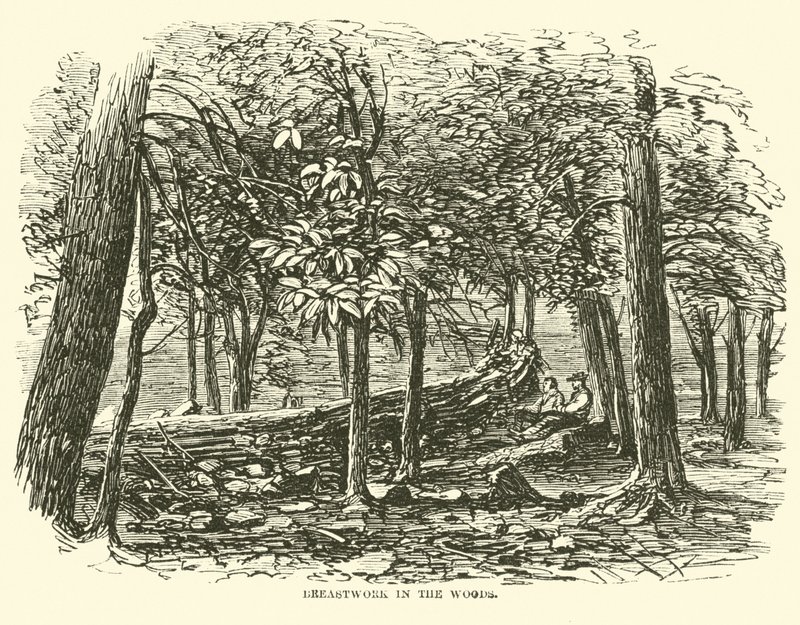 Bröstarbete i skogen, juli 1863 av American School