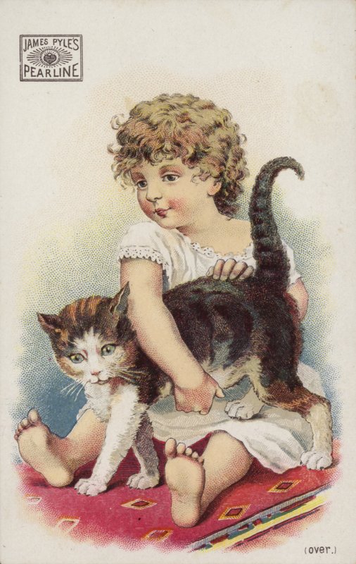 Flicka som leker med katten på mattan av American School