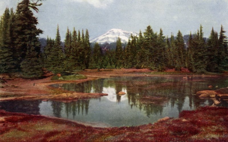 I Oregon-bergen (färg litho) av American School