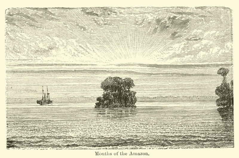 Amazonas munnar av American School