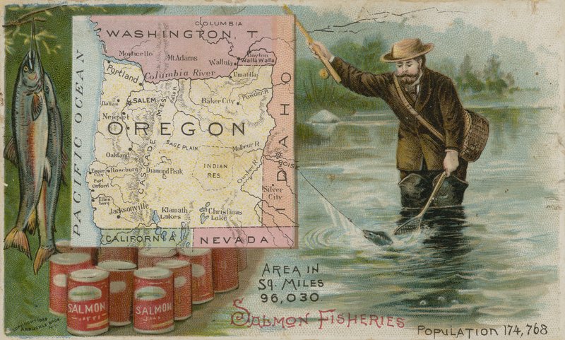 Oregon - Laxfiske av American School