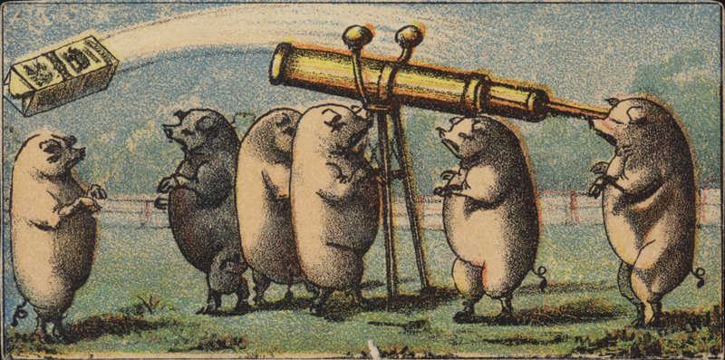 Stargazing Hogs av American School