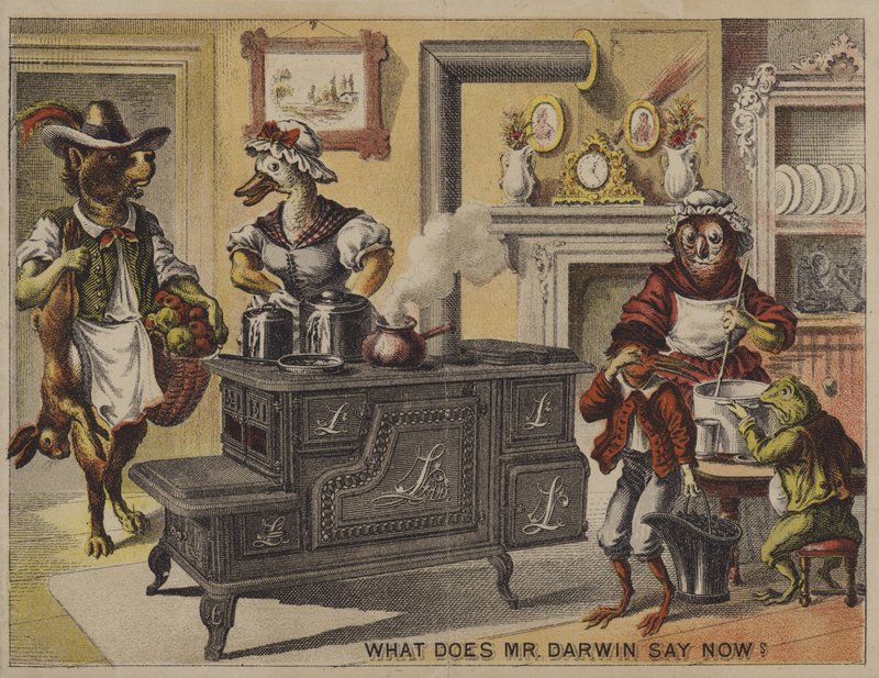Vad säger Mr Darwin nu? (chromolitho) av American School