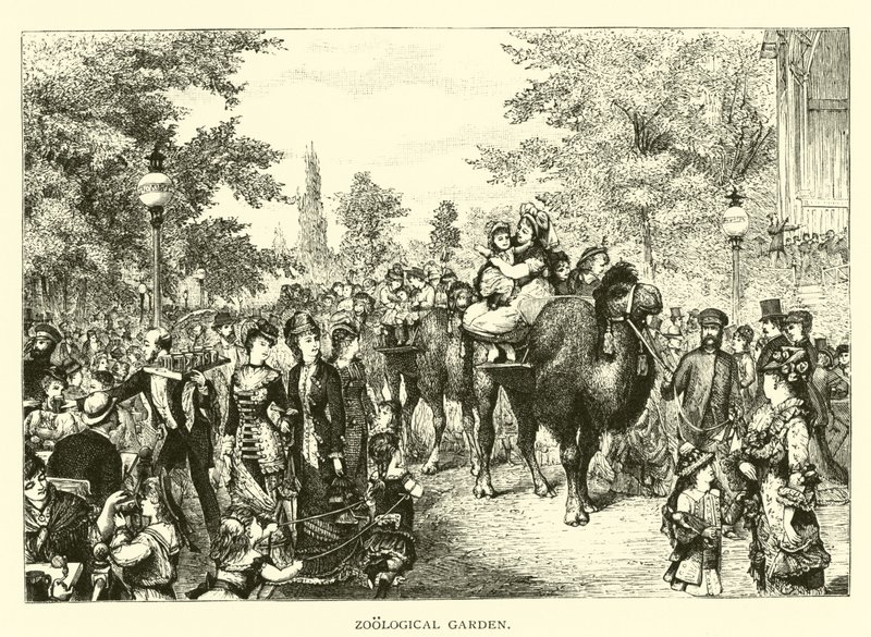 Zoologisk trädgård av American School