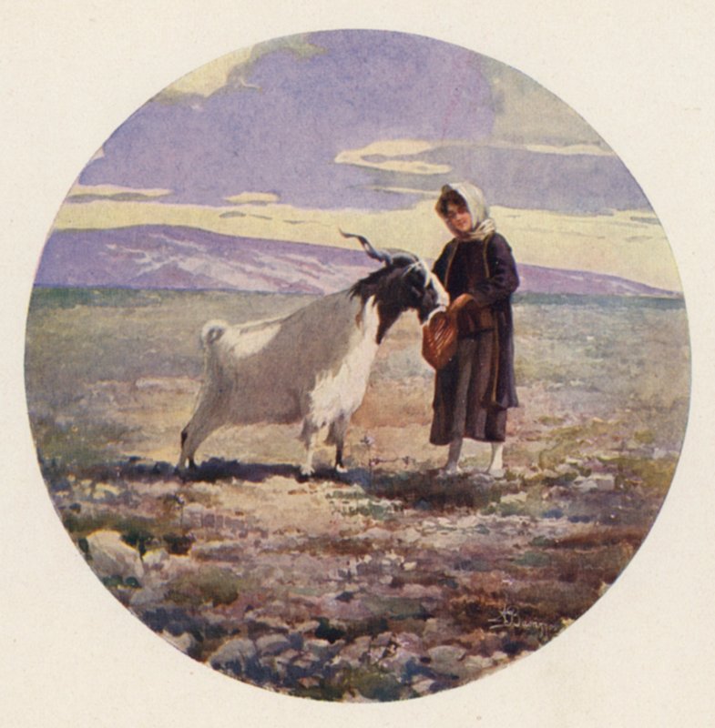 Goatherd, Attika, Grekland (färg litho) av Angelos Giallinos