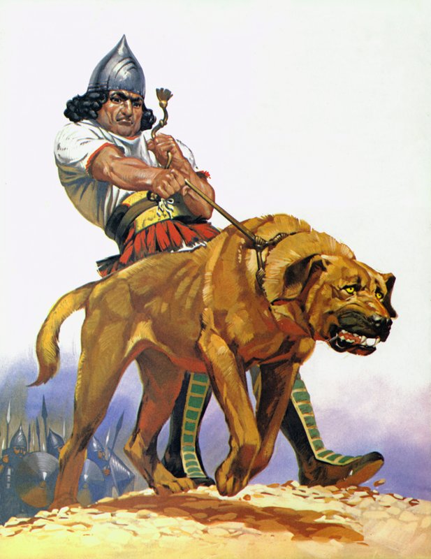 Assyrisk stridshund (färglitografi) av Angus McBride