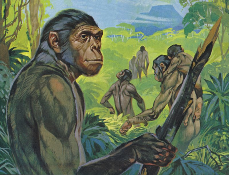 Pithecanthropus (färglitografi) av Angus McBride