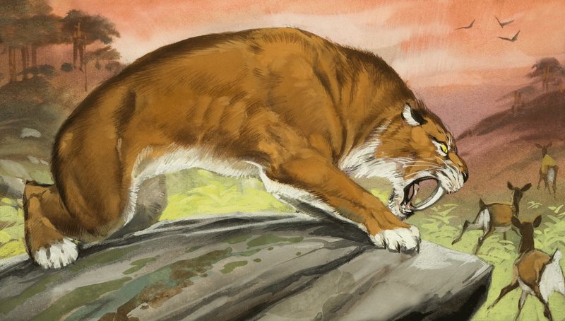 Sabeltandad tiger ute på jakt av Angus McBride