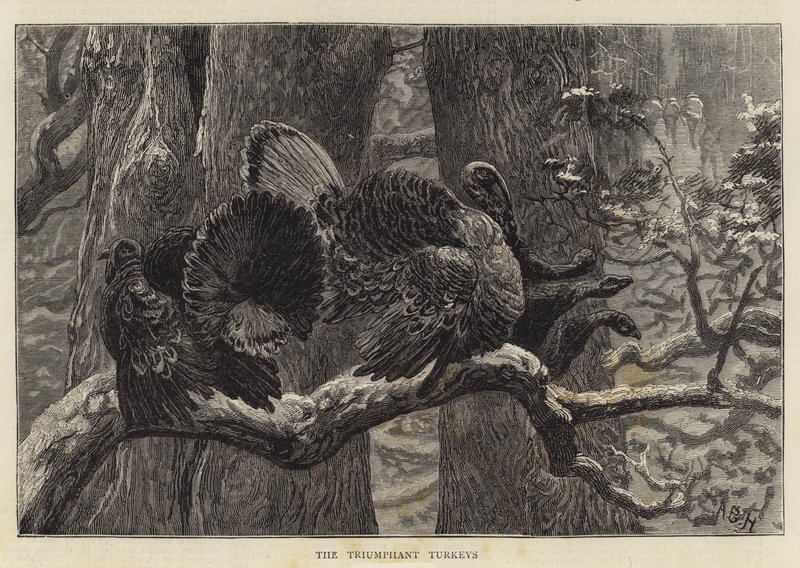 De triumferande kalkonerna av Arthur Boyd Houghton