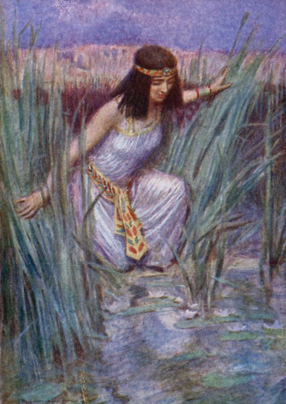 Lotusblommorna (färg litho) av Arthur C. (after) Michael
