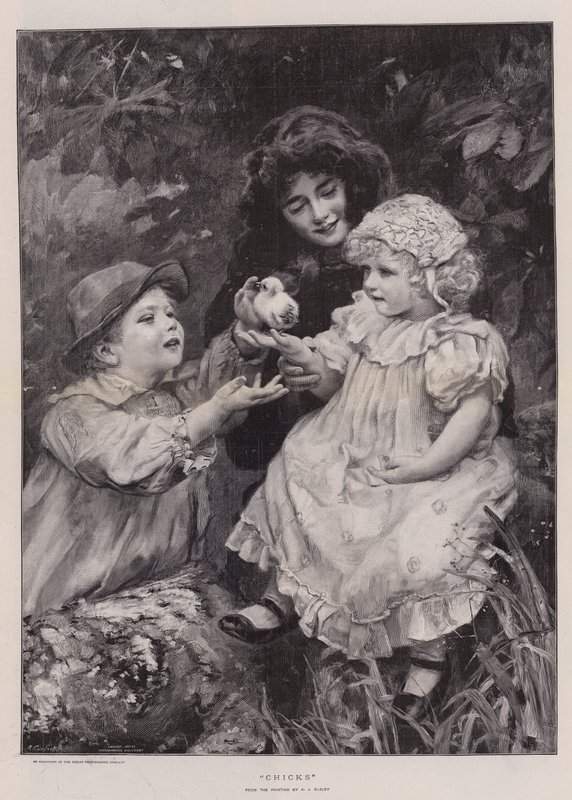 Kycklingar (gravyr) av Arthur John Elsley