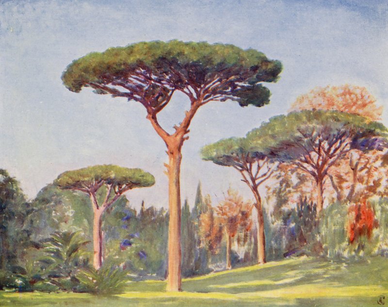 Rock Pines, Villa Floridiana (färglitografi) av Augustine Fitzgerald