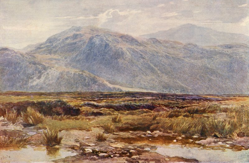 Cader Idris (färglitografi) av Augustus Watford Weedon
