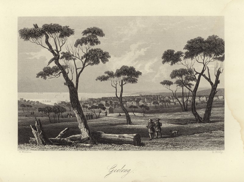 Geelong av Australian School