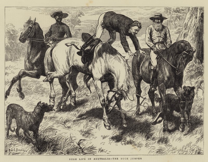 Bush Life i Australien, Buck Jumper av Basil Bradley