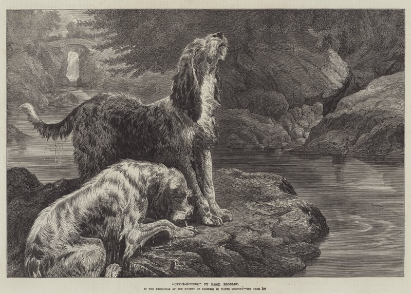 Otter-Hounds av Basil Bradley