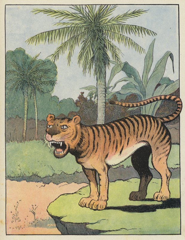 Tiger av Benjamin Rabier